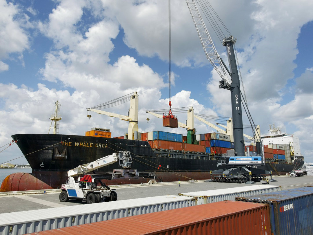 CONTAINERS_Whale-Orca-MHC-Container-Lift-NCB6-SM-4 THE WHALE ORCA vessel loaded with shipping containers. Port Canaveral's Leibherr mobile harbor crane lifts a container.
