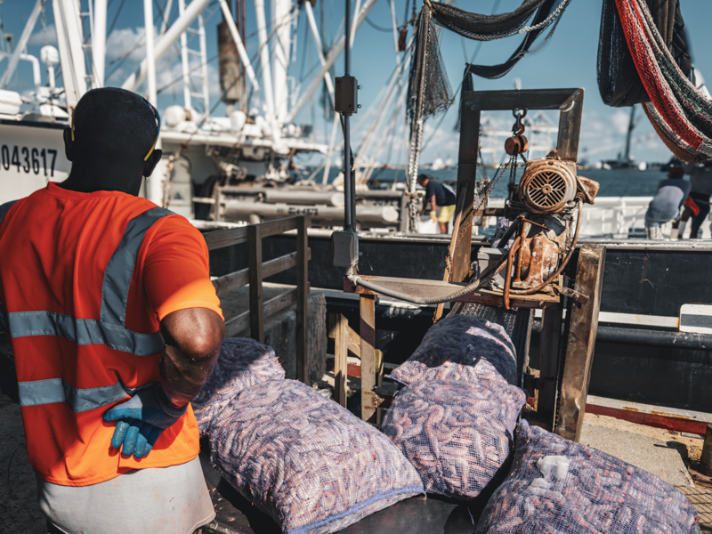 Commercial Fishing at Port Canaveral