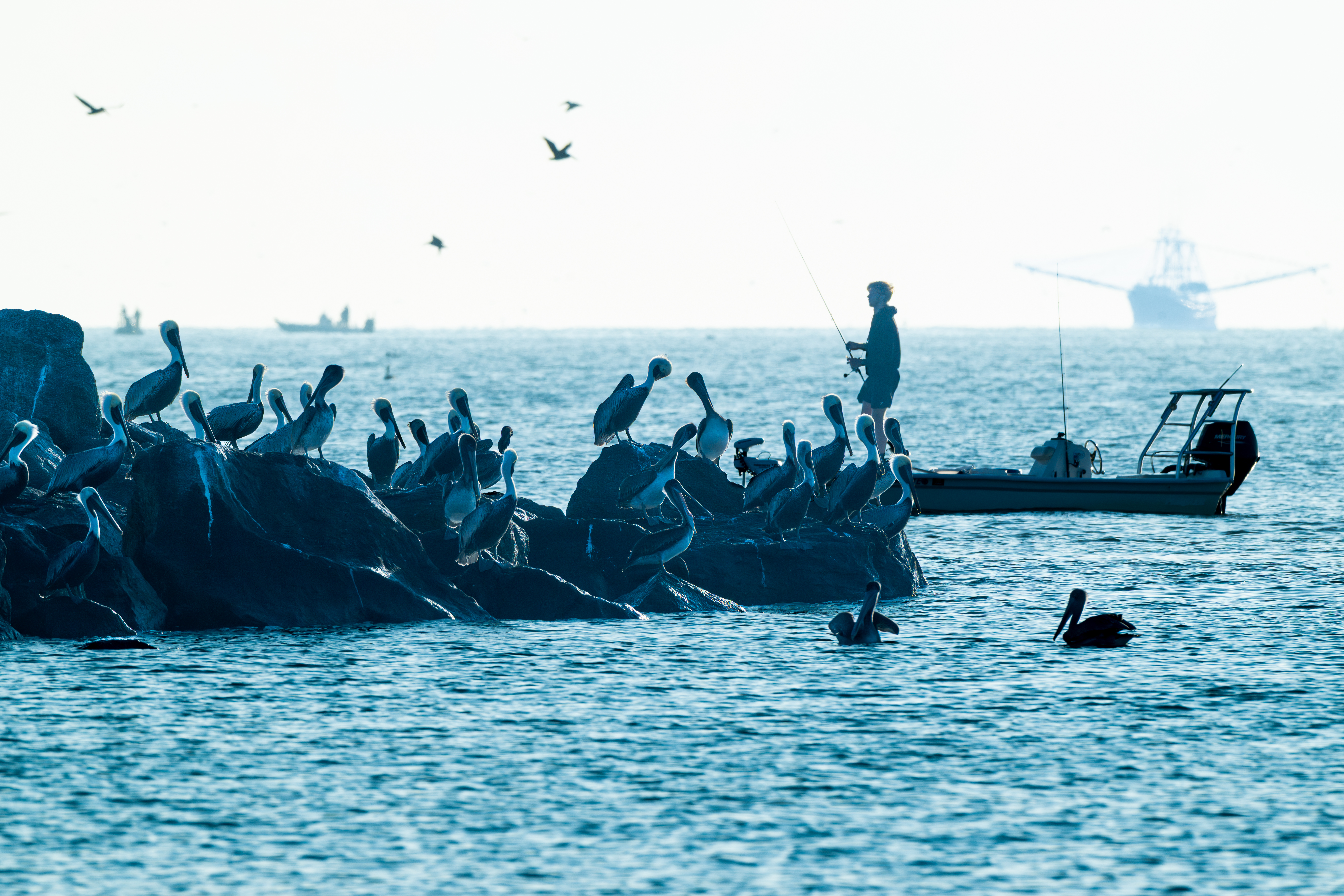 AfishermanfishesfromhisboatofftheMalcolmMcLouthpier